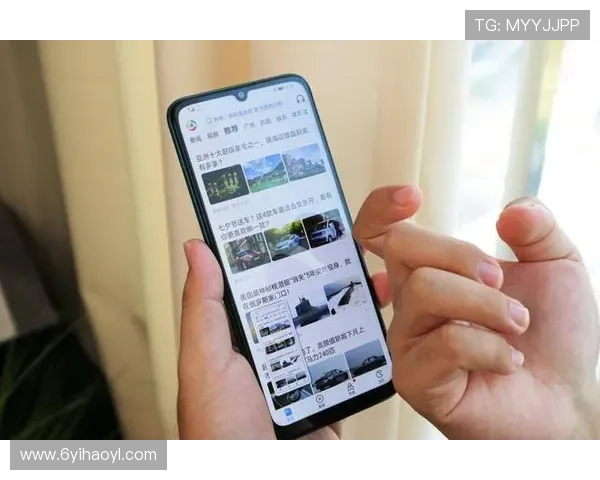 畅享白金会员下载特权，尽享无限精彩内容