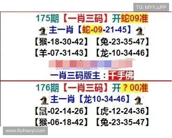 探索澳门彩网的魅力与投注技巧